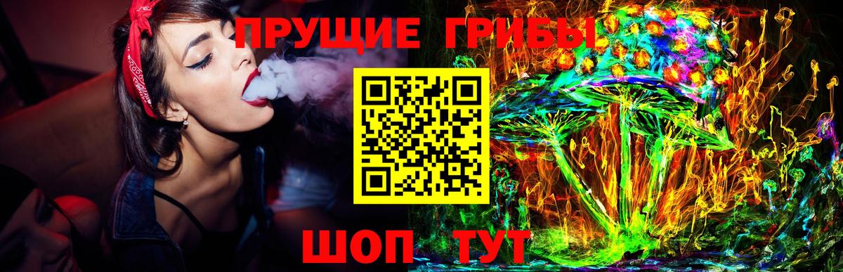 Псилоцибиновые грибы GOLDEN TEACHER Муром