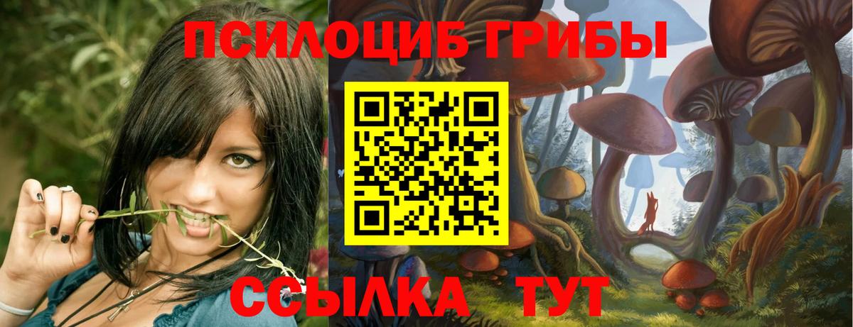 Галлюциногенные грибы Cubensis  Вход с VPN  Муром 